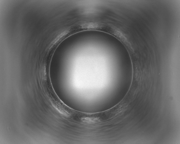 X0000080140251200612081303