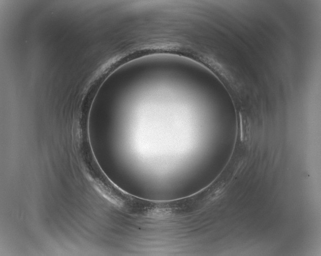 X0000080140252200612081303