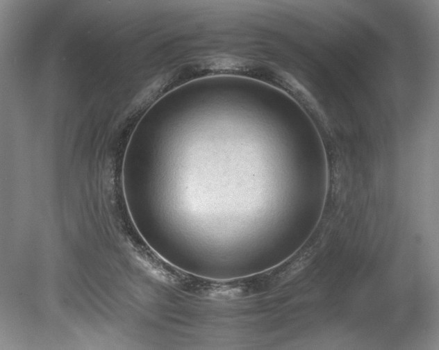 X0000080140257200612081303