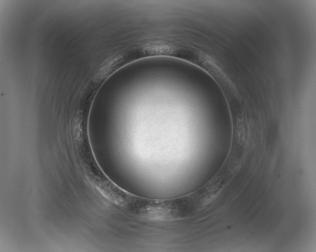 X0000080140259200612081303