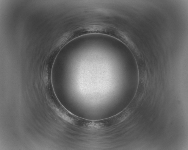 X0000080140261200612081303