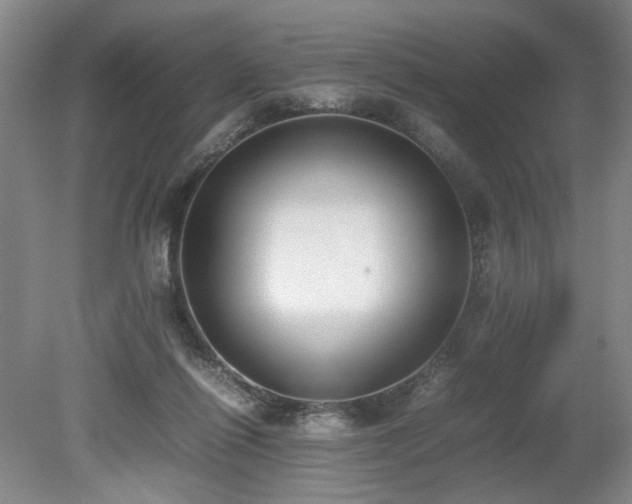 X0000080140262200612081303