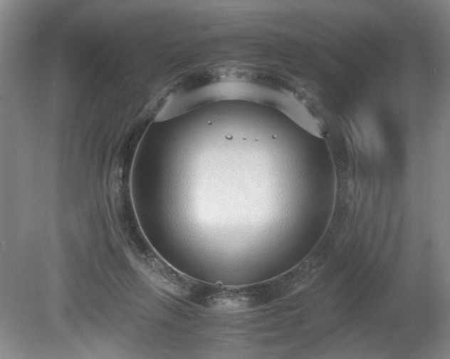 X0000080140263200612081303