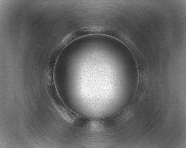 X0000080140264200612081303