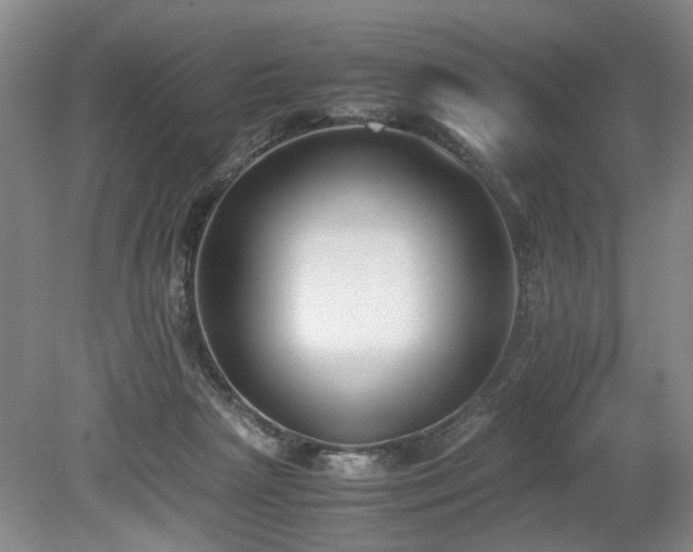 X0000080140265200612081303