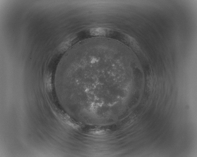 X0000080140267200612081303