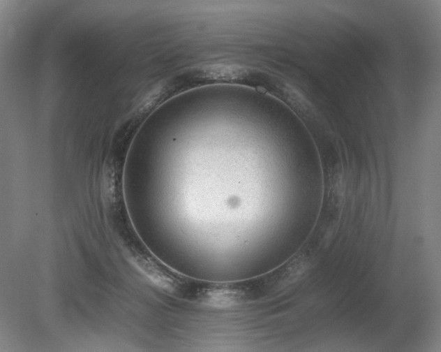 X0000080140268200612081303