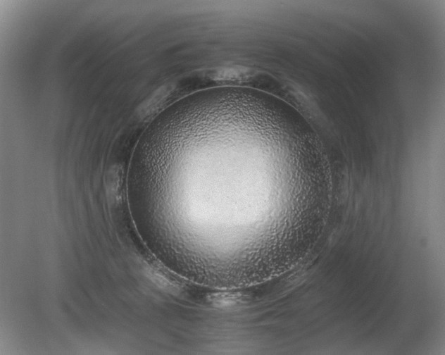 X0000080140273200612081303