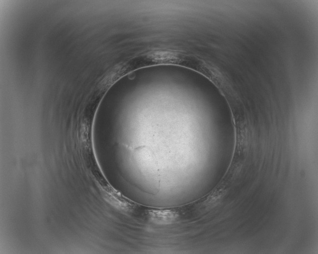 X0000080140281200612081304