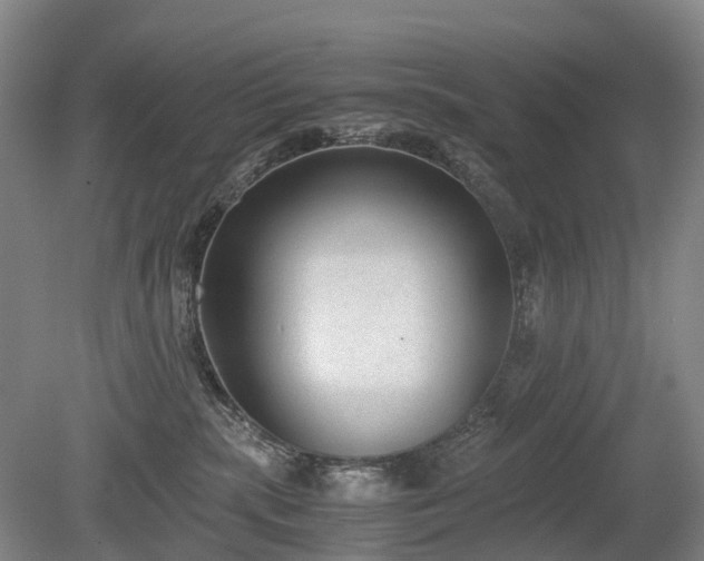 X0000080140283200612081304