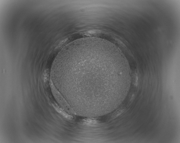X0000080140284200612081304