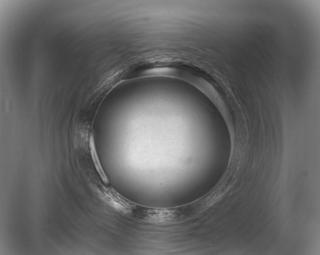 X0000080140288200612081304