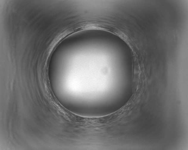 X0000080140289200612081303