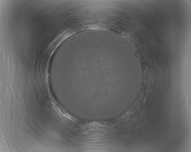 X0000080140290200612081303