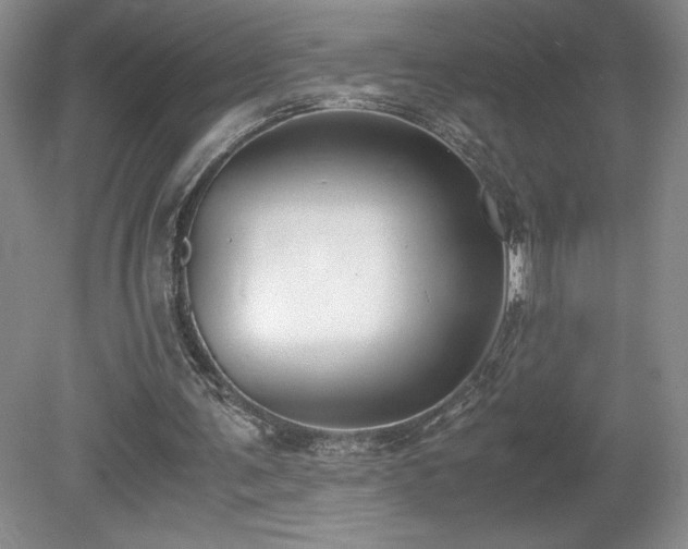 X0000080140291200612081303