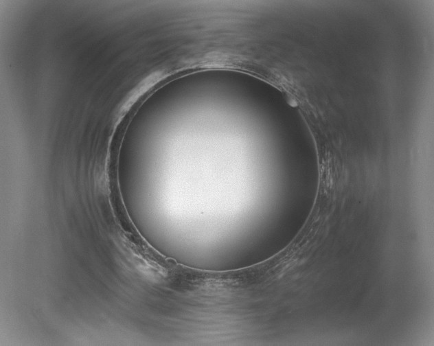 X0000080140292200612081303