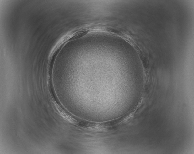 X0000080140293200612081303