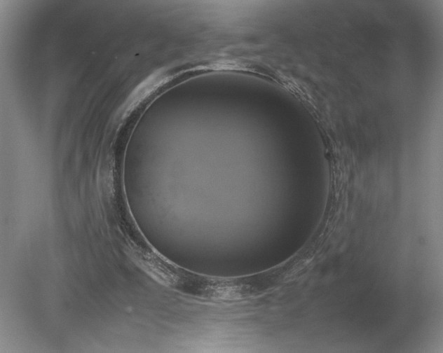 X0000080140295200612081303
