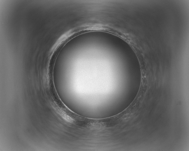 X0000080140296200612081303