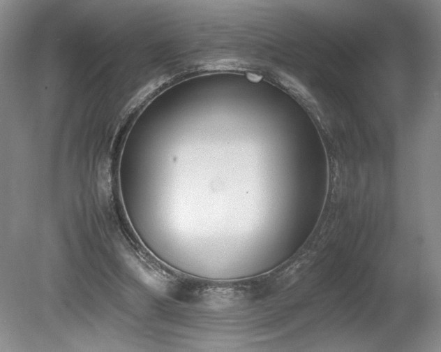 X0000080140298200612081303