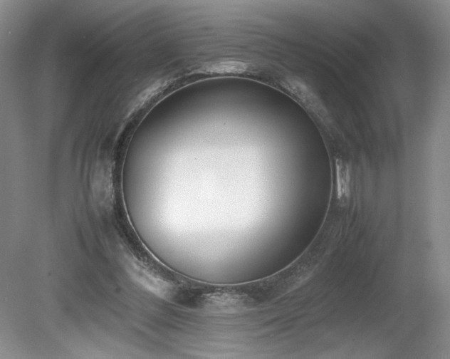 X0000080140300200612081303