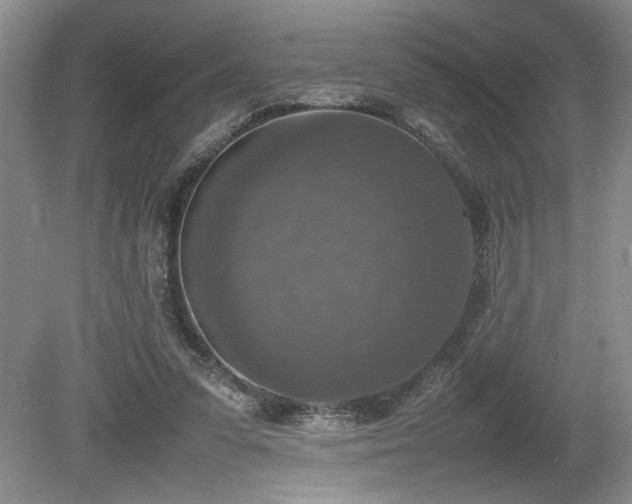 X0000080140303200612081303