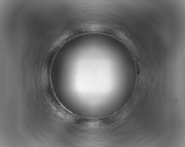 X0000080140306200612081303