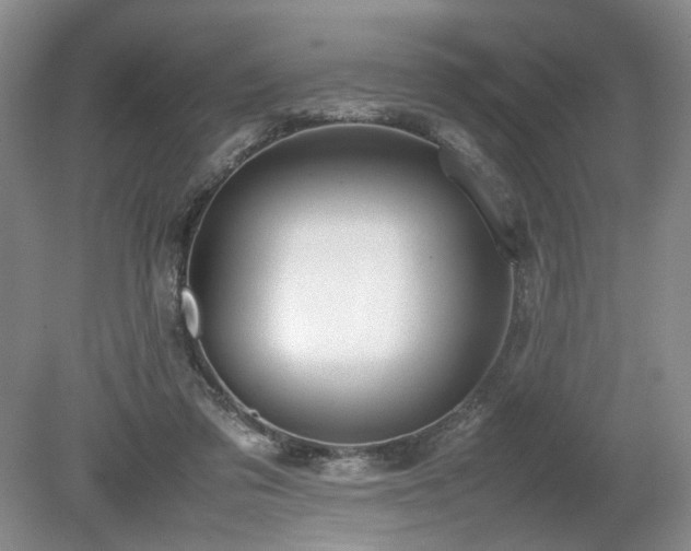 X0000080140309200612081303