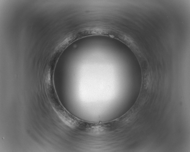 X0000080140310200612081303