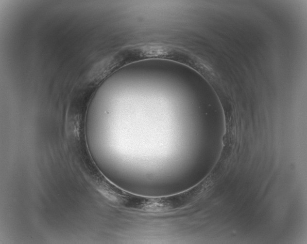 X0000080140315200612081302