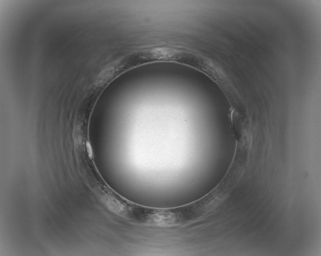 X0000080140317200612081302