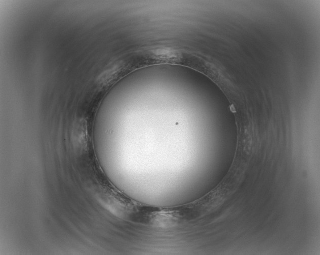 X0000080140320200612081302