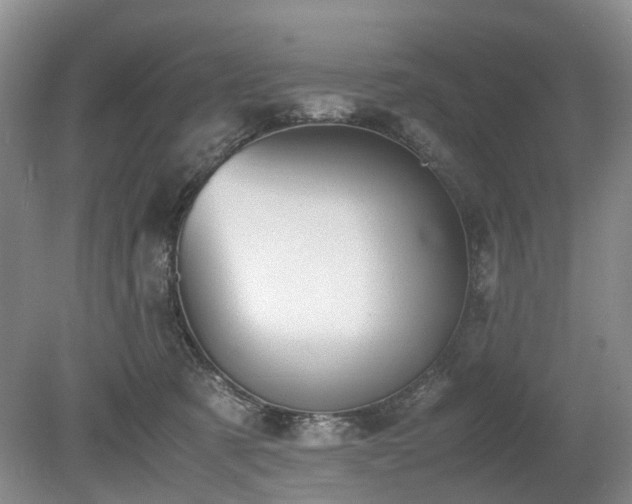 X0000080140321200612081302