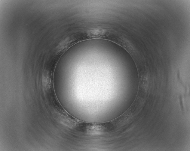 X0000080140324200612081302