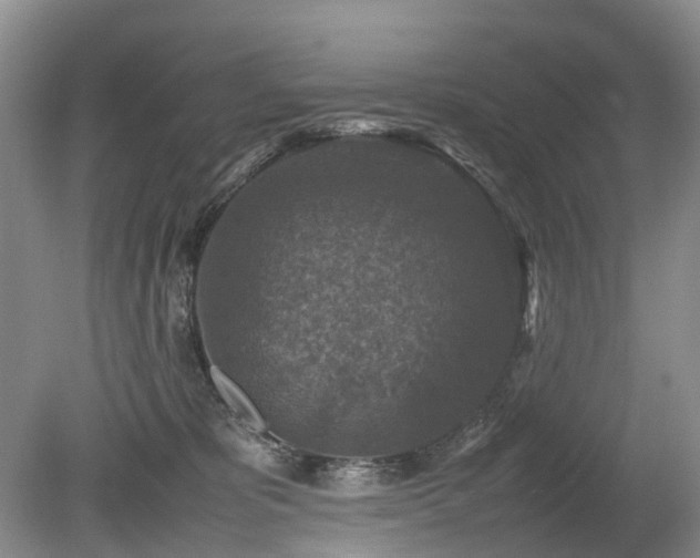 X0000080140325200612081302