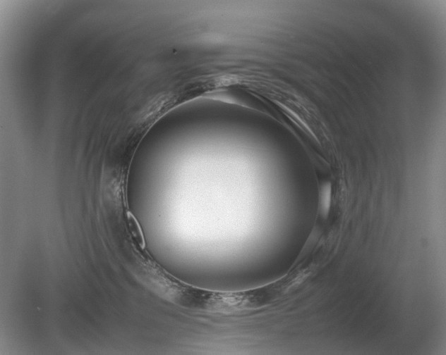 X0000080140329200612081302