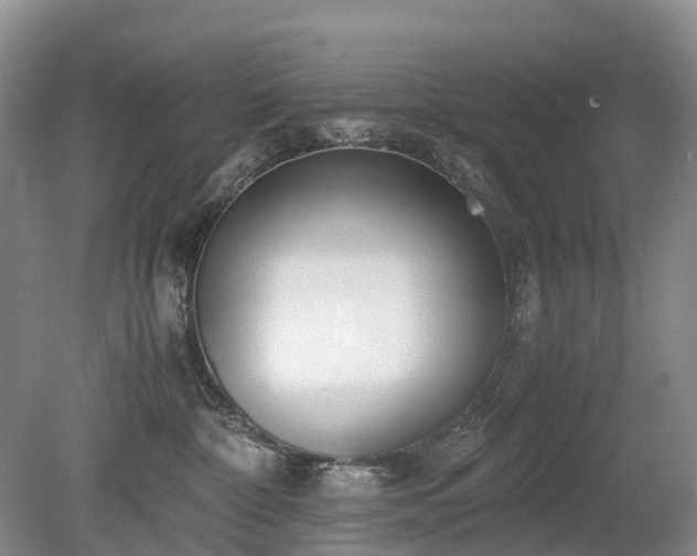 X0000080140332200612081302