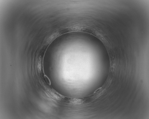X0000080140334200612081302