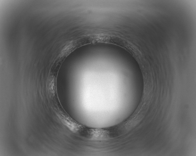 X0000080140336200612081302