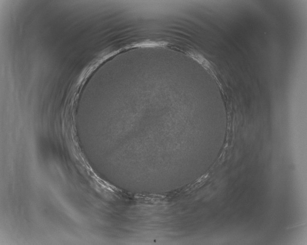X0000080140337200612081301