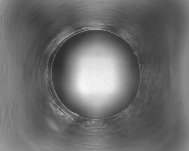 X0000080140338200612081301