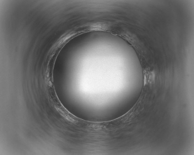 X0000080140339200612081301