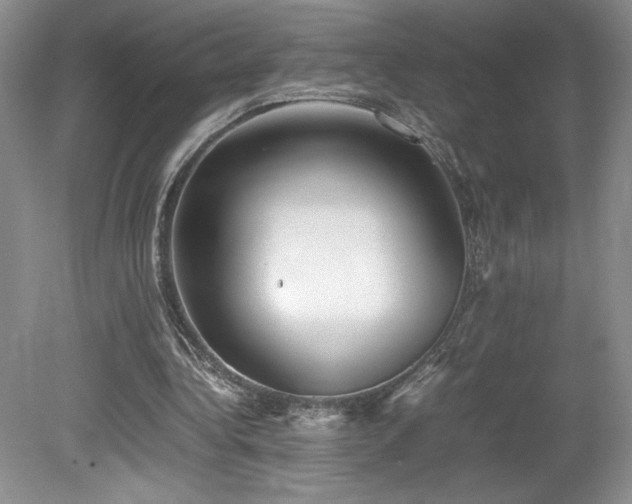 X0000080140340200612081301