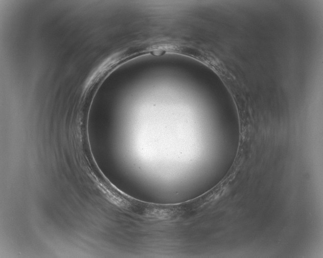X0000080140341200612081301