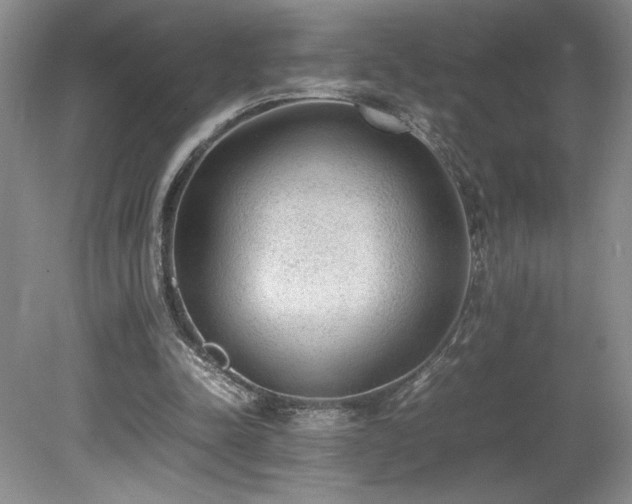 X0000080140342200612081301