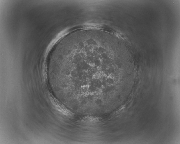 X0000080140343200612081301