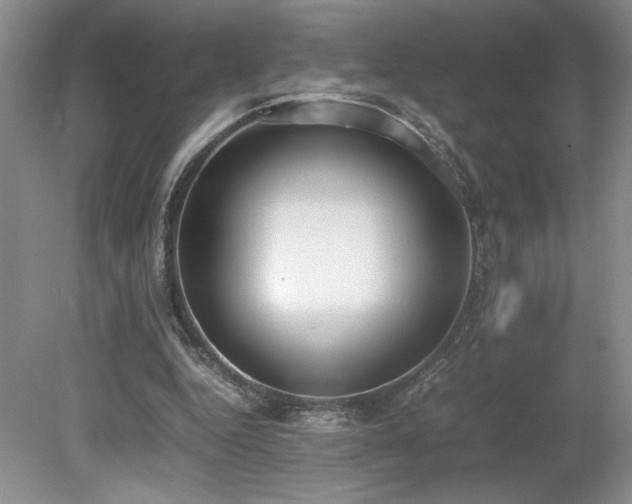 X0000080140344200612081301