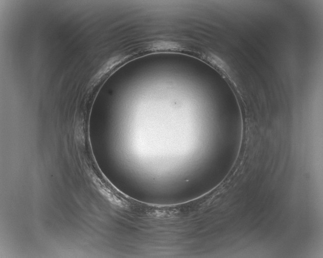 X0000080140345200612081301