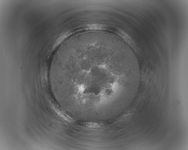 X0000080140347200612081301