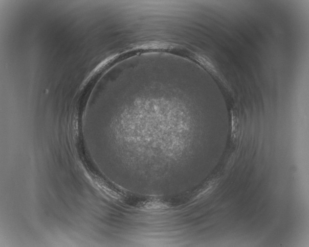 X0000080140348200612081301